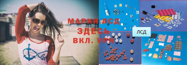 шишки Карпинск