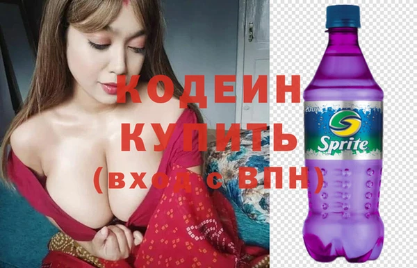 шишки Карпинск