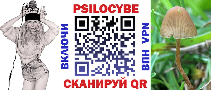цена   Починок  Псилоцибиновые грибы MAGIC MUSHROOMS 